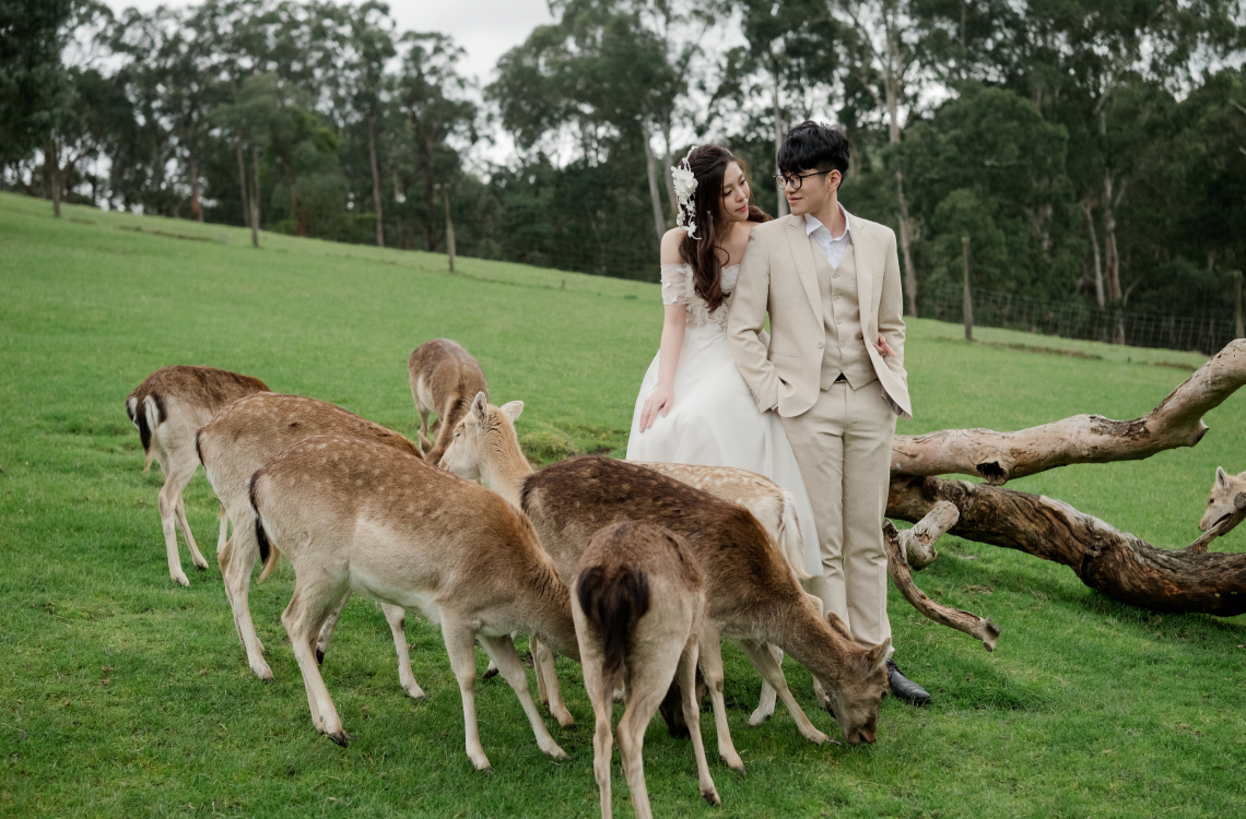 Quỳnh Anh - Long Vũ