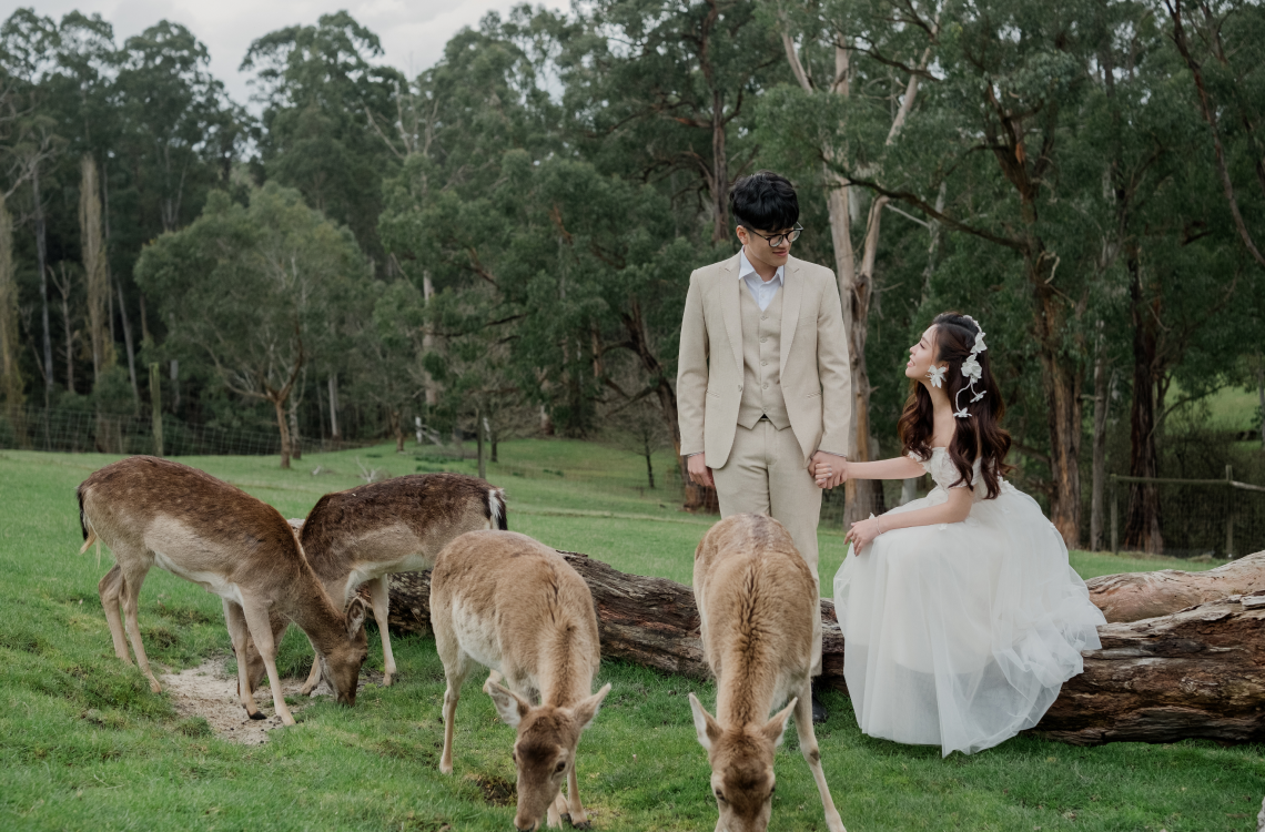 Quỳnh Anh - Long Vũ