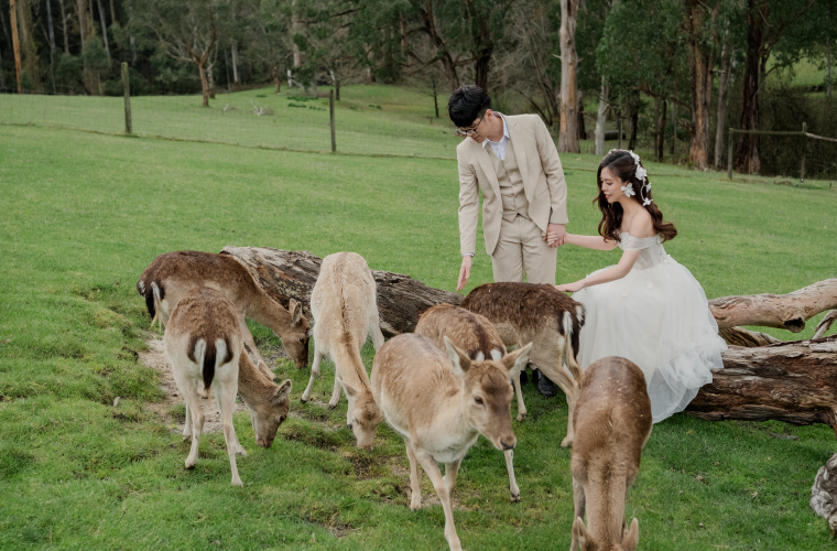 Quỳnh Anh - Long Vũ