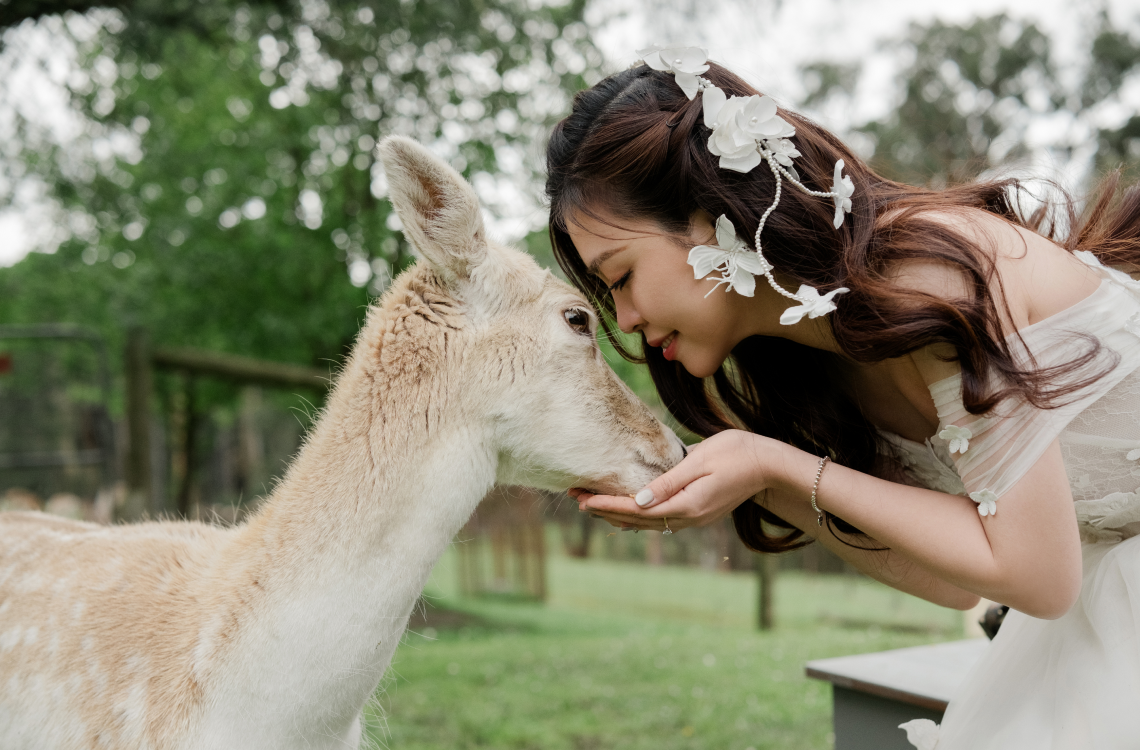 Quỳnh Anh - Long Vũ