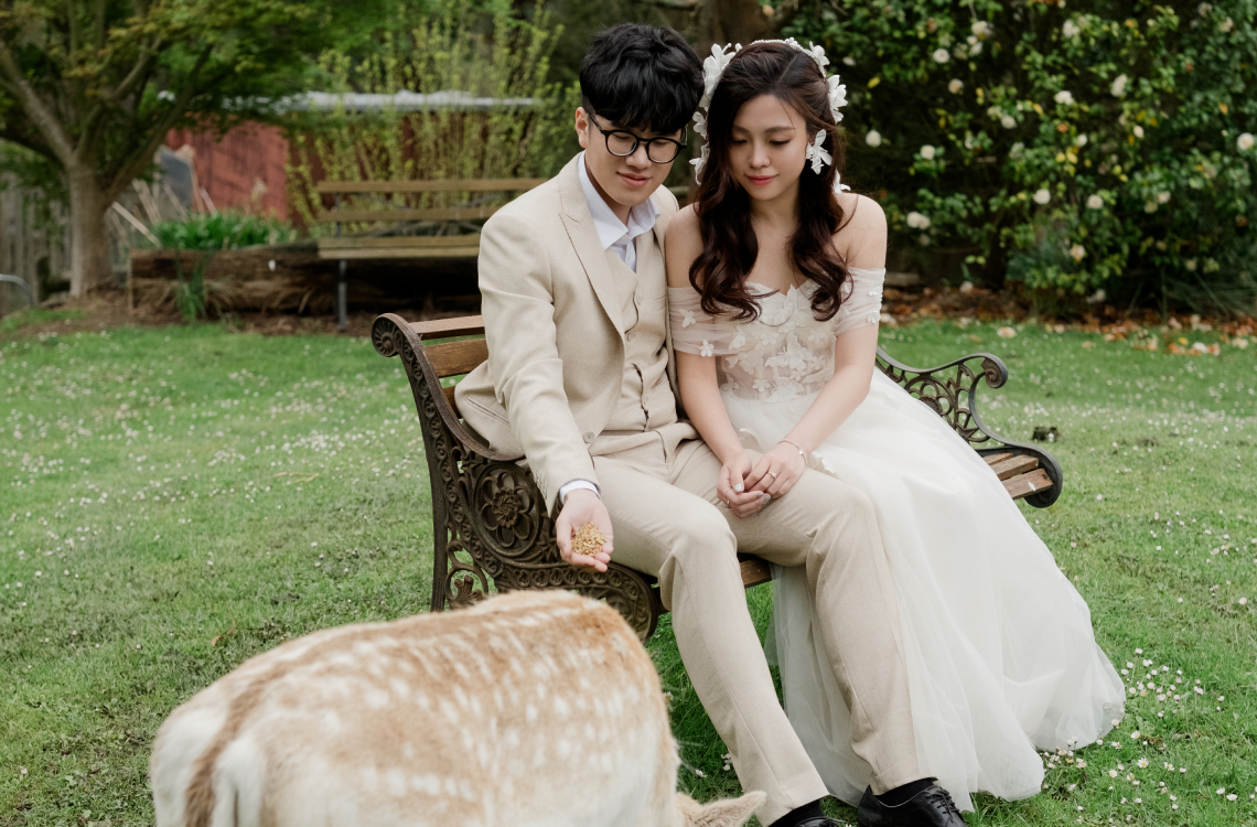 Quỳnh Anh - Long Vũ