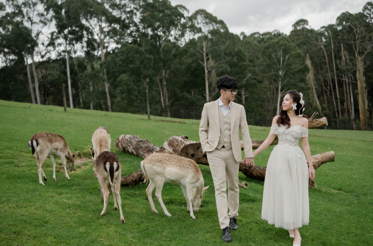 Quỳnh Anh - Long Vũ