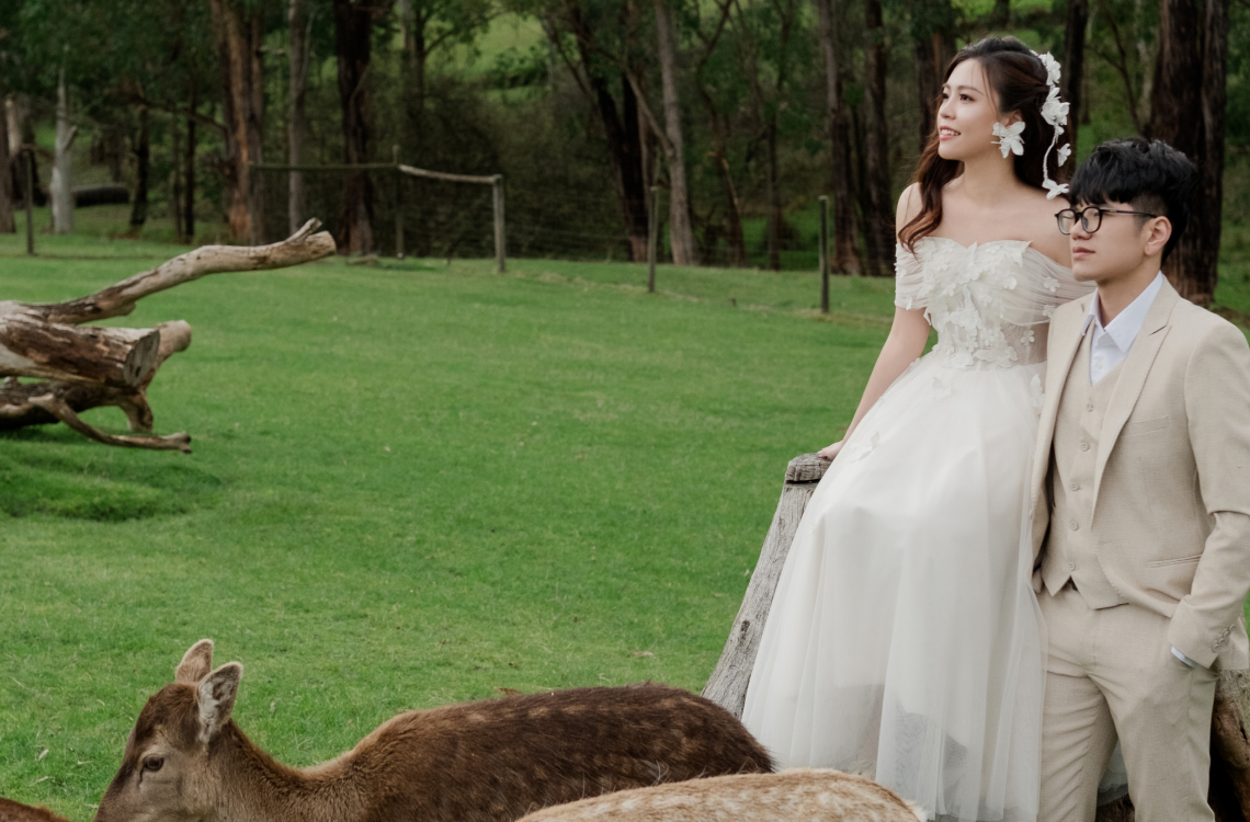 Quỳnh Anh - Long Vũ