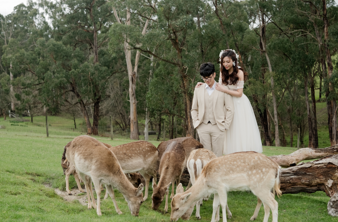 Quỳnh Anh - Long Vũ