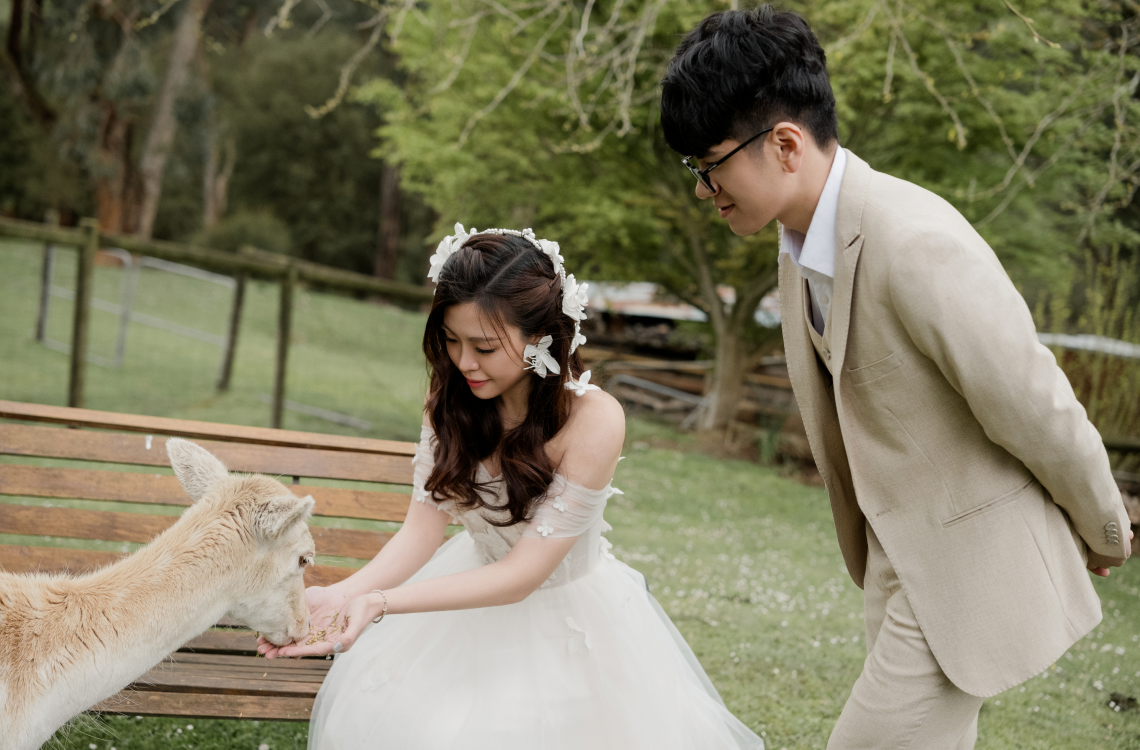 Quỳnh Anh - Long Vũ